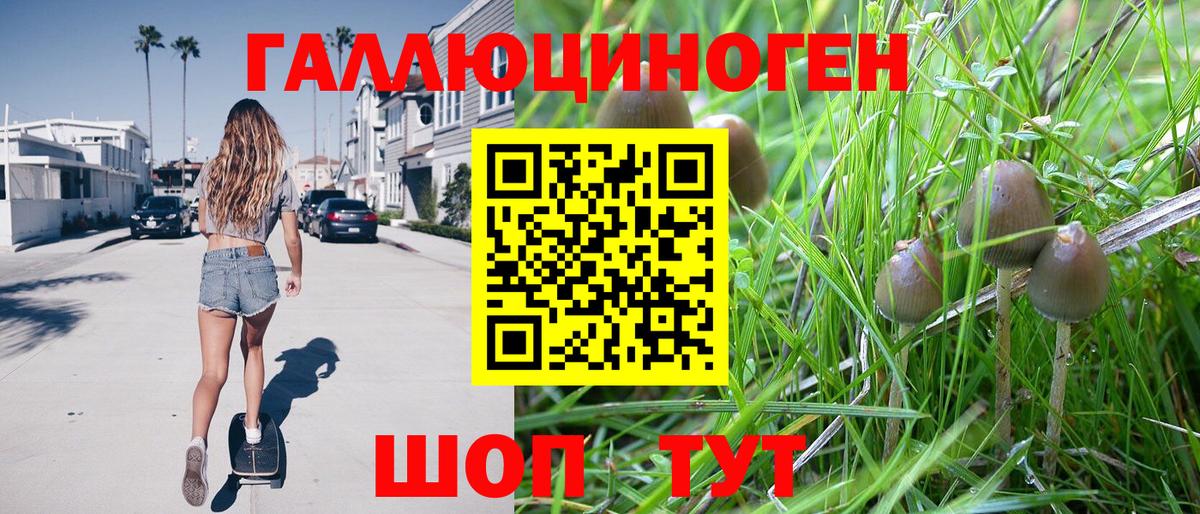 Псилоцибиновые грибы Magic Shrooms Майкоп