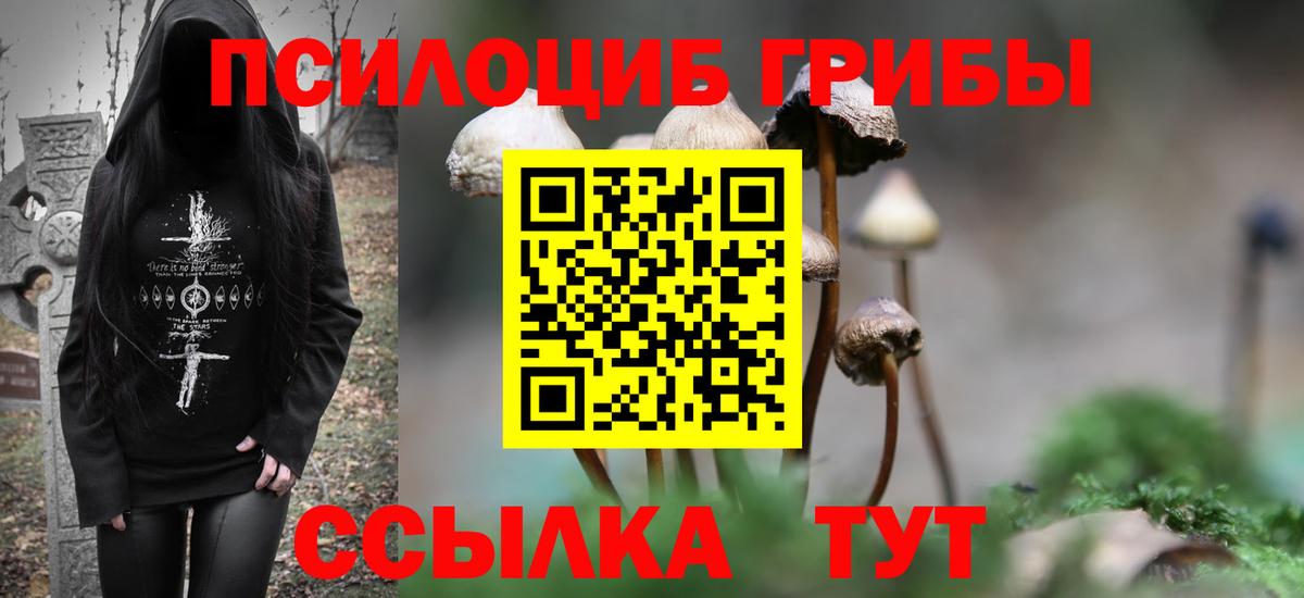 Псилоцибиновые грибы GOLDEN TEACHER  Вход с VPN  как найти   Майкоп 